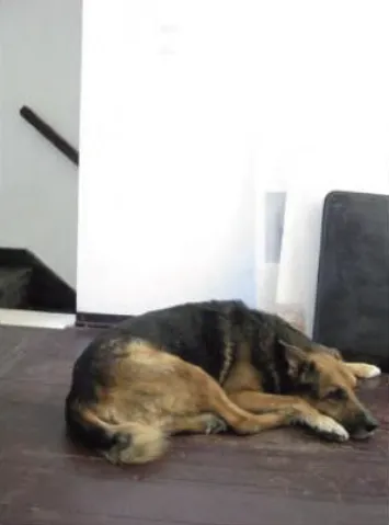 INNEN-AUSSEN — Realisiert 6